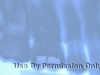 Dental x-rays can be compared to teeth found in a grave to aid precise identification of a body.