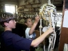 Students examine a skeleton