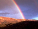 New Mexico rainbow